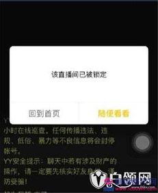 最新爆料利哥事件视频大全,揭秘网络红人利哥的争议瞬间