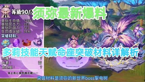 须弥主城爆料攻略最新版,最新版爆料全解析，轻松征服神秘领域