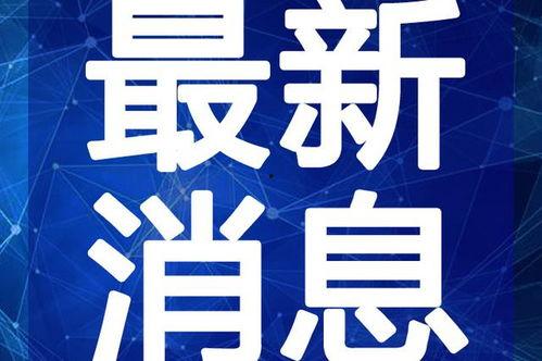 宿州爆料视频最新消息新闻,视频揭露惊人真相，事件详情引发热议