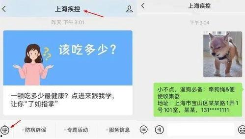狗子今日爆料最新消息图片,今日最新爆料图片背后的惊人真相